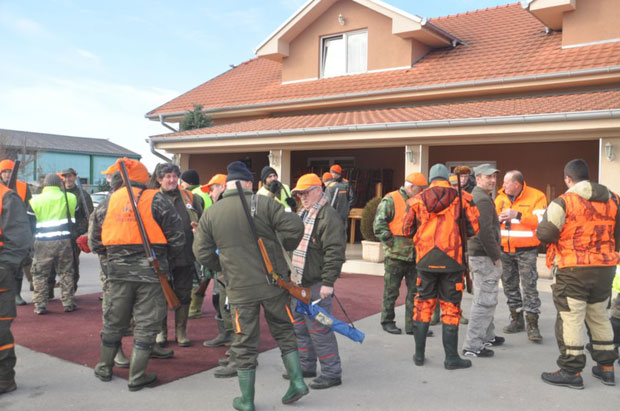 Хајка на штеточине